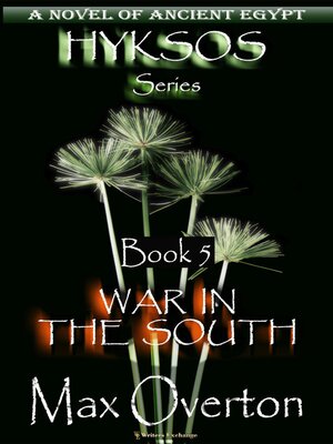 cover image of War in the South